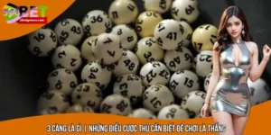 3 Càng Là Gì | Những Điều Cược Thủ Cần Biết Để Chơi Là Thắng