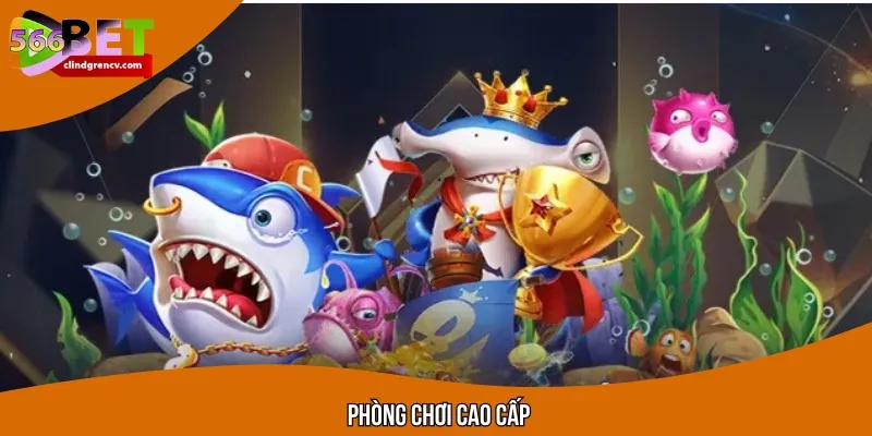 Sân chơi dành cho những tay chơi đại gia