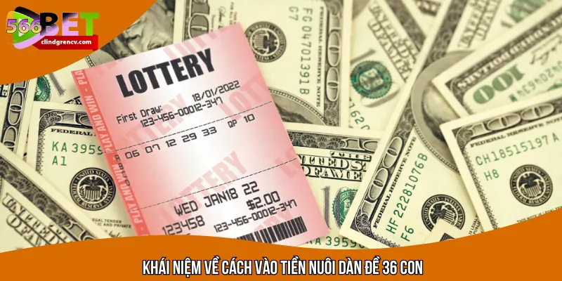 Hiểu đúng về cách vào tiền nuôi dàn đề 36 con