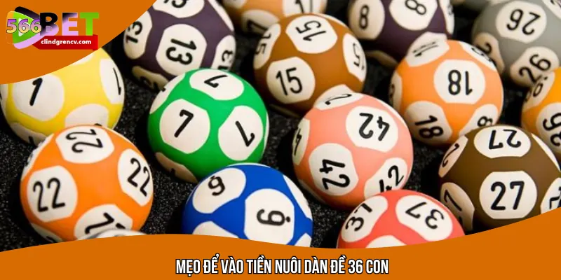 Các mẹo để làm đúng theo cách vào tiền nuôi dàn đề 36 con