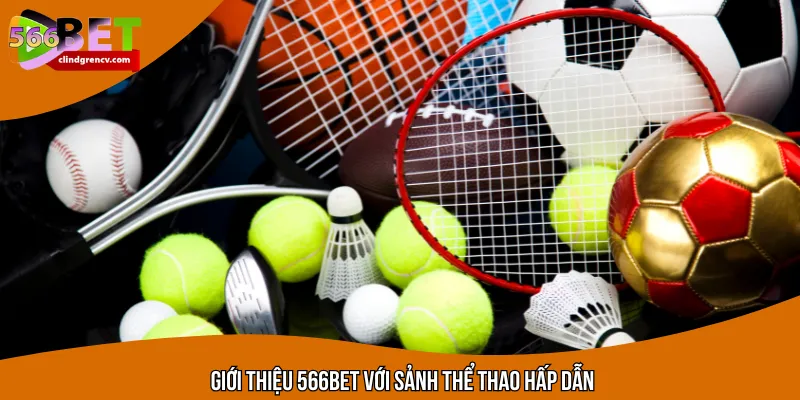 Giới thiệu 566BET với sảnh thể thao hấp dẫn