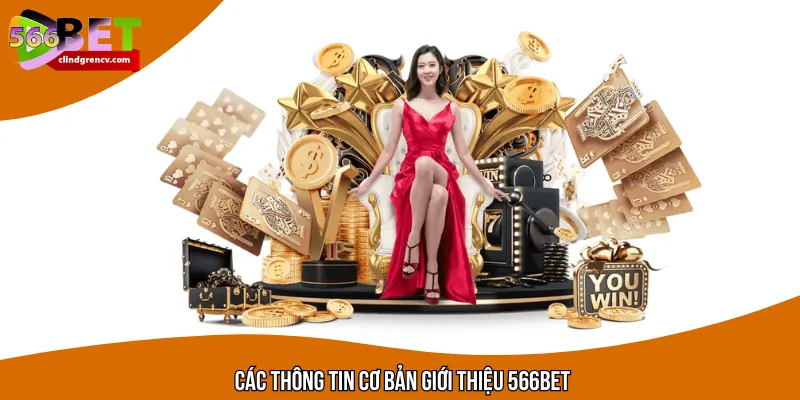 Các thông tin cơ bản giới thiệu thương hiệu