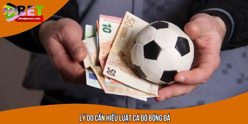 Lý do cần hiểu rõ luật cược bóng đá là gì?