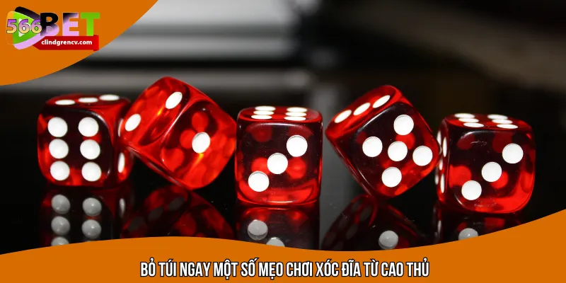 Bỏ túi ngay một số mẹo chơi xóc đĩa từ cao thủ