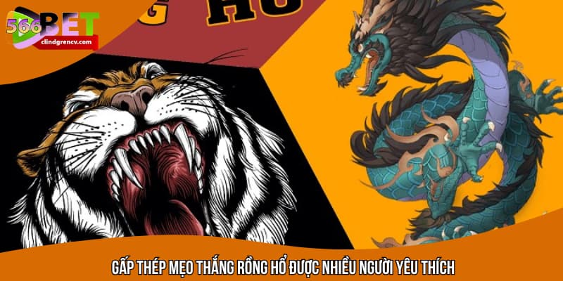 Gấp thép mẹo thắng rồng hổ được nhiều người yêu thích