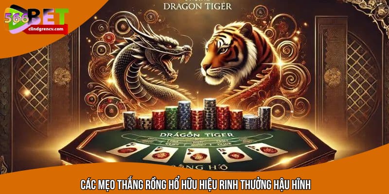 Các mẹo thắng rồng hổ hữu hiệu rinh thưởng hậu hĩnh