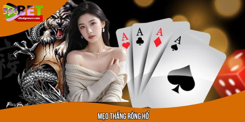 Mẹo Thắng Rồng Hổ - Bí Kíp Chinh Phục Siêu Phẩm Nhà 566BET