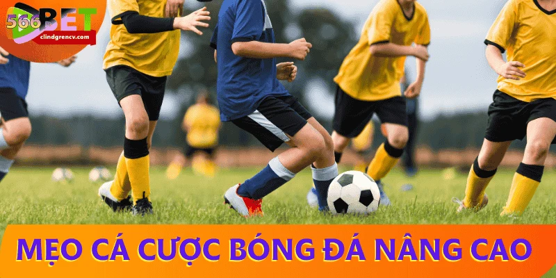 kinh-nghiem-ca-do-bong-da-tu-cao-thu