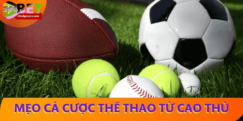 meo-ca-cuoc-the-thao-tu-cao-thu