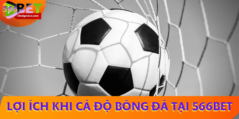 uu-diem-ca-do-bong-da-566BET