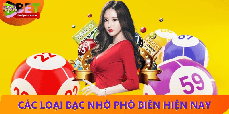 Các loại bạc nhớ phổ biến hiện nay